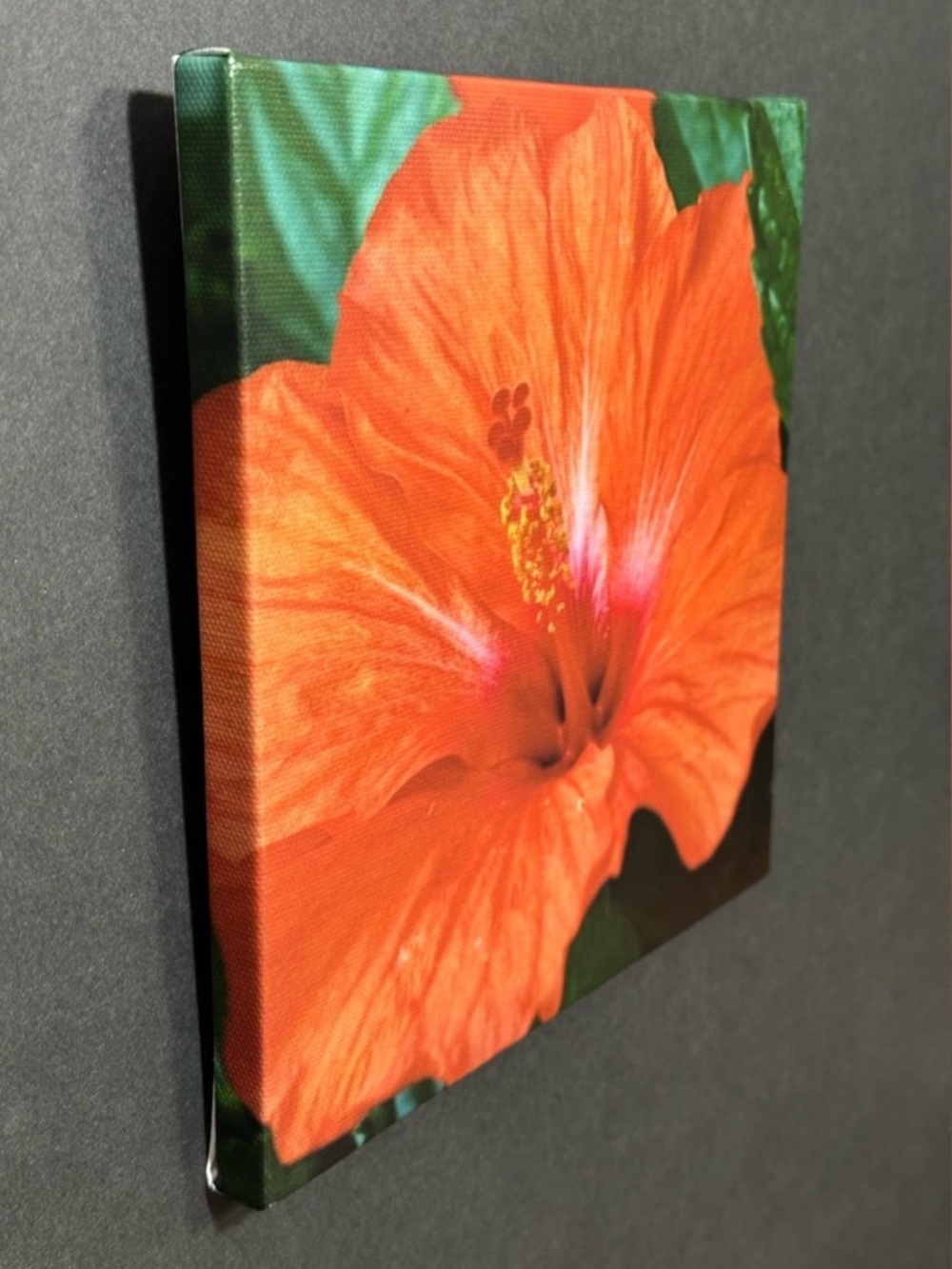 8x8 Vibrant Hibiscus Canvas Wall Art